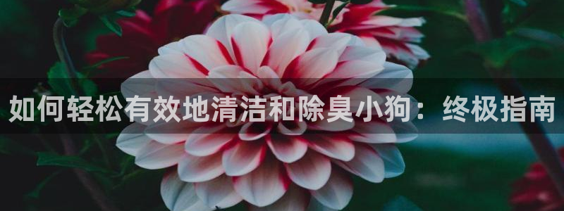 ZL尊龙凯时平台