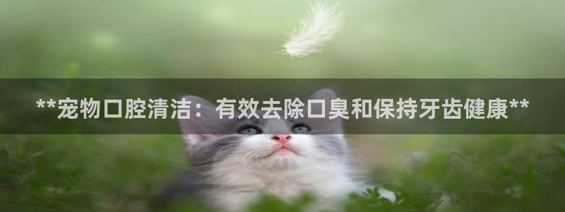尊龙AG旗舰厅app下载