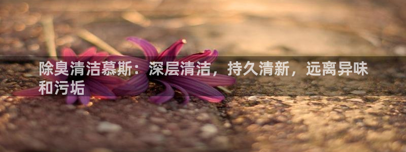 尊龙人生就是博手机版下载