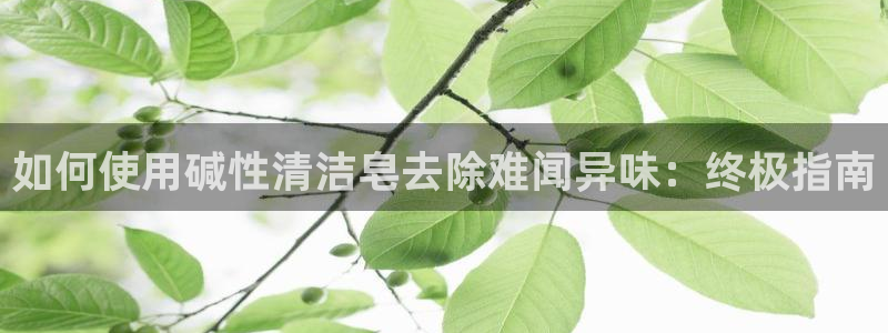 凯时app官网首页