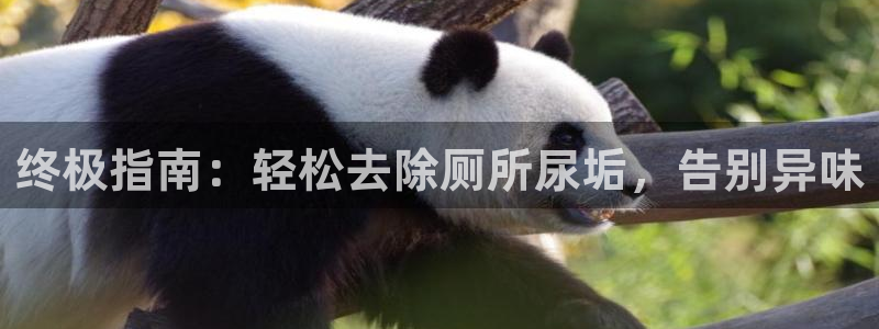 尊龙凯时怎么注销账号