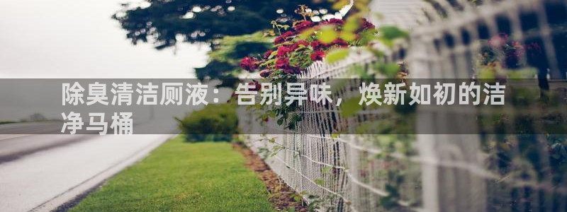 尊龙凯时旗舰厅百家乐下载