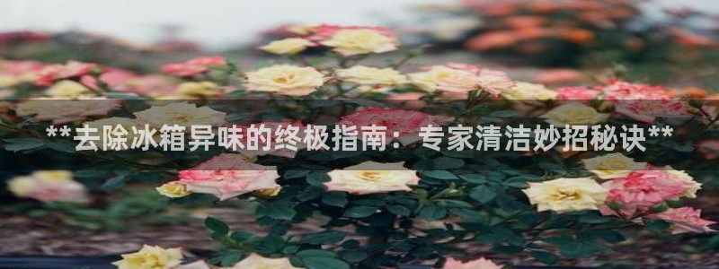 尊龙凯时的生产设备