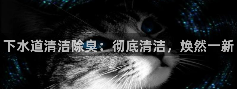 尊龙网平台