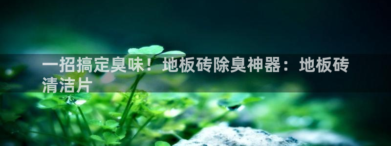 尊龙凯时旗舰厅官网