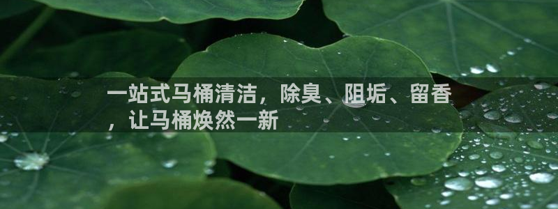 尊龙人生就是博客服：一站式马桶清洁，除臭、阻垢、留香
，