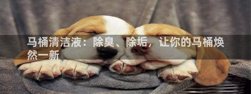 agz6尊龙凯时集团：马桶清洁液：除臭、除垢，让你的马桶