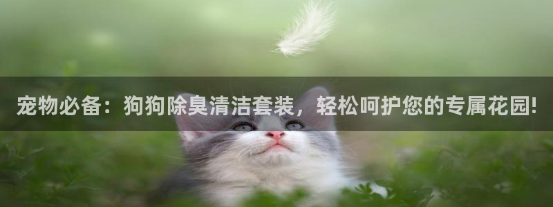 尊龙凯时发展历程