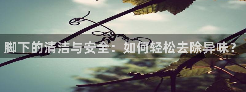 尊龙凯时发展历程