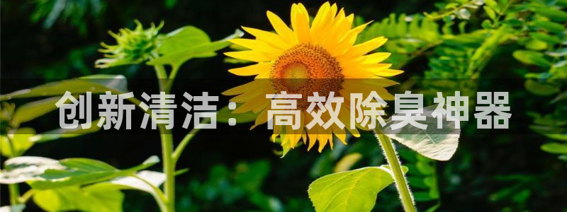 尊龙凯时可以提现吗