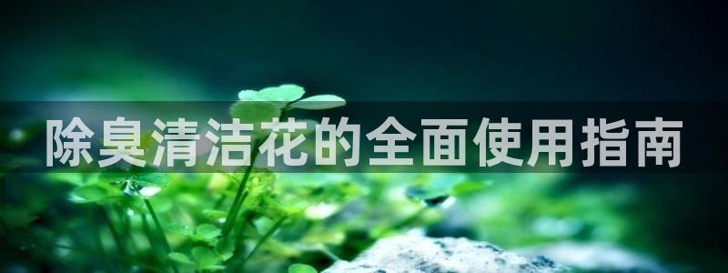 尊龙2020