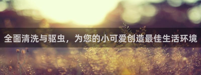 K66凯时国际平台官网