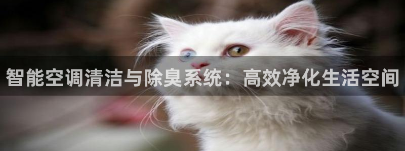 尊龙d88官网去来就送38