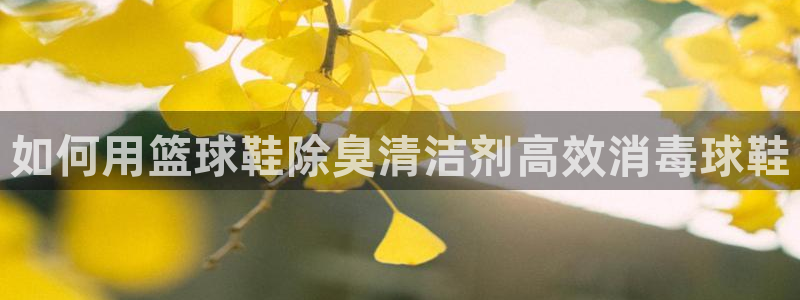 尊龙手机版下载