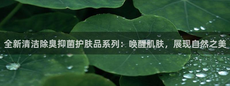 尊龙凯时app产品介绍