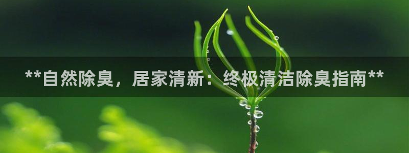 尊龙凯时logo：**自然除臭，居家清新：终极清洁除臭指